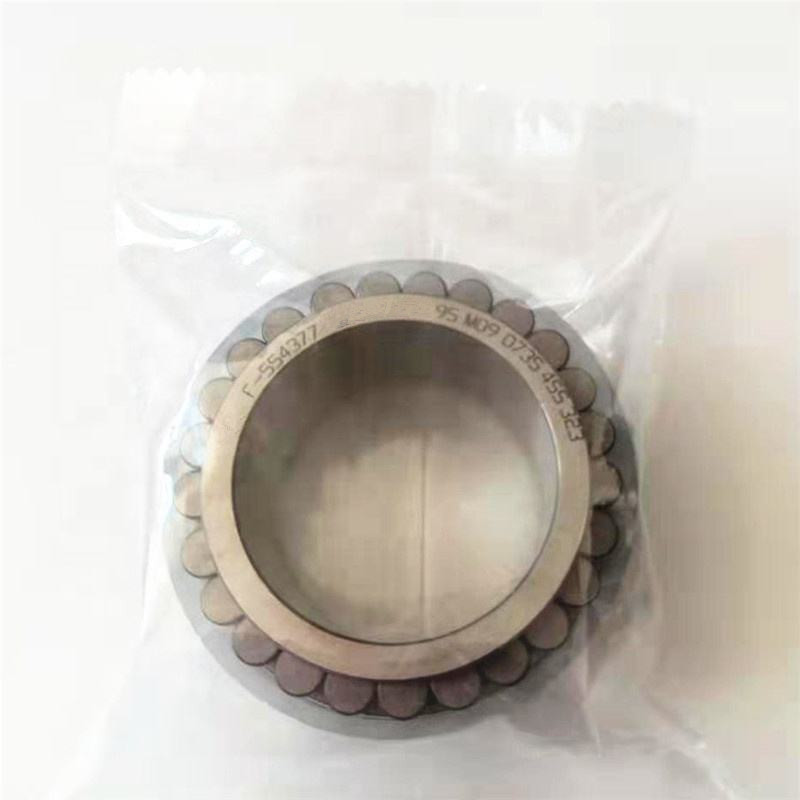 Hydraulic pump bearing F-554377 Double Row Cylindrical Roller Bearing F-554377